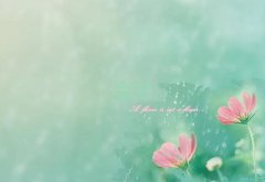 2018걱cpaӖ(xn)ԇ