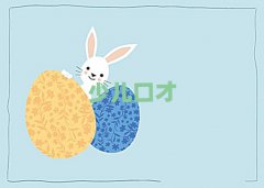 |ݸWڲžǂWУ