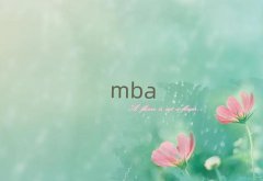 ͨ݅^(q)MBAӖC(gu)ļҺ10