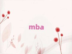 |ǅ^(q)MBAӖ(xn)^