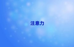 LP^(q)ͯעYӖ