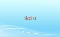 2025Ϻt^(q)W(xu)كעӖ(xn)ʮ(qing)