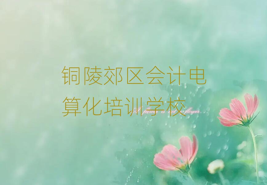 2025年銅陵郊區(qū)在哪可以學(xué)會計(jì)電算化十大排行
