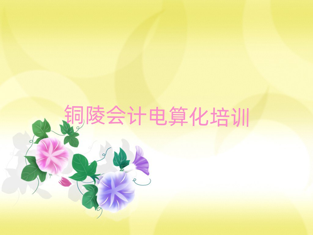2025年銅陵郊區(qū)在哪可以學(xué)會計(jì)電算化十大排行