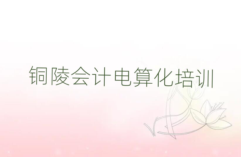 2025年銅陵郊區(qū)學會計電算化學校值得推薦的名單榜首一覽