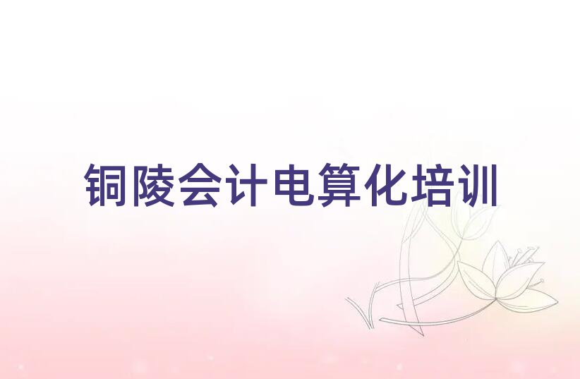 2025年銅陵郊區(qū)會(huì)計(jì)電算化哪里有會(huì)計(jì)電算化品牌培訓(xùn)班