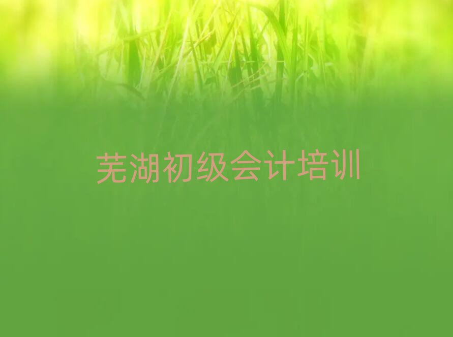 2025年蕪湖弋江區(qū)學初級會計速成班