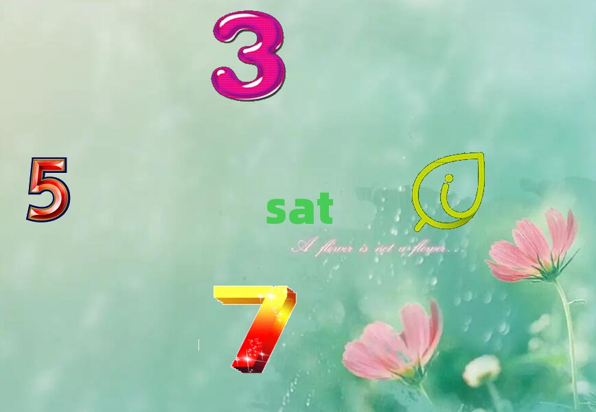 ݮT^(q)satWУg
